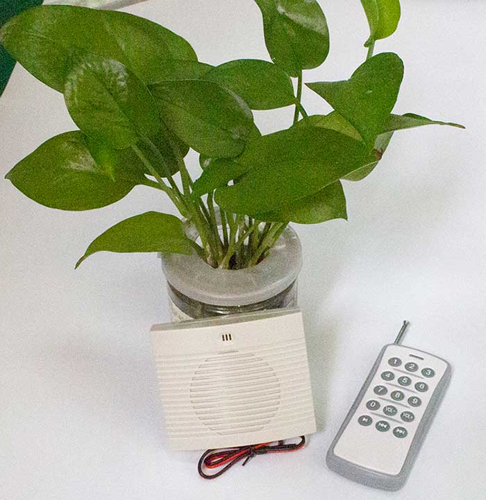 无线？毓婊